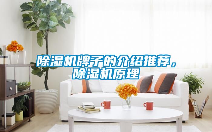 除濕機(jī)牌子的介紹推薦，除濕機(jī)原理