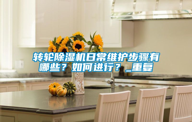 轉(zhuǎn)輪除濕機日常維護步驟有哪些？如何進行？_重復(fù)