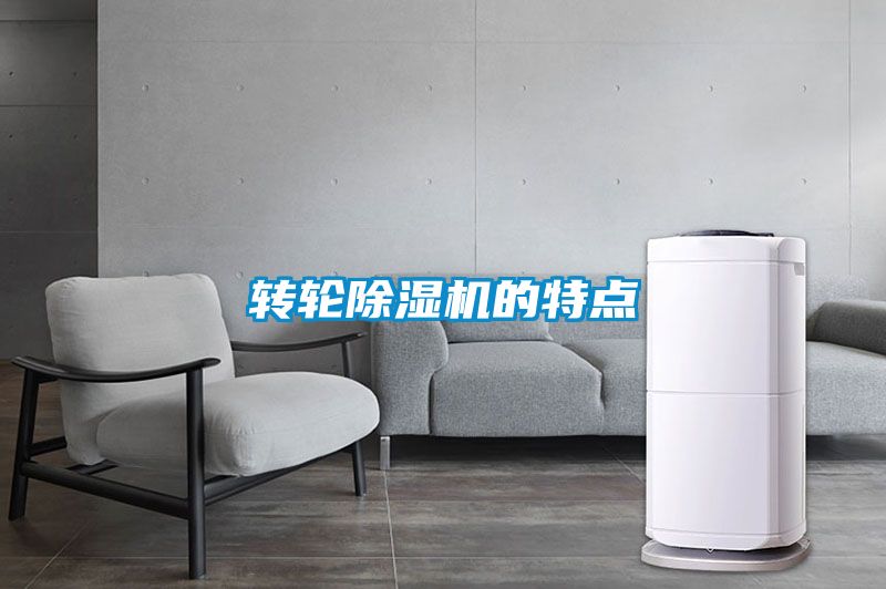 轉(zhuǎn)輪除濕機的特點