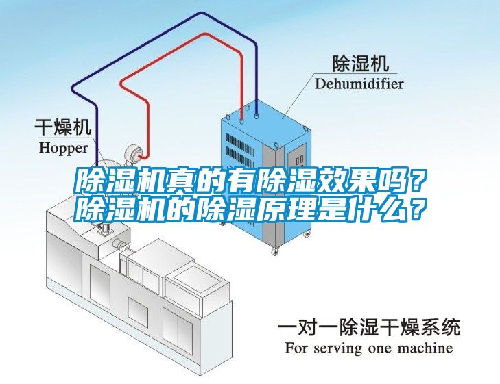 除濕機(jī)真的有除濕效果嗎？除濕機(jī)的除濕原理是什么？