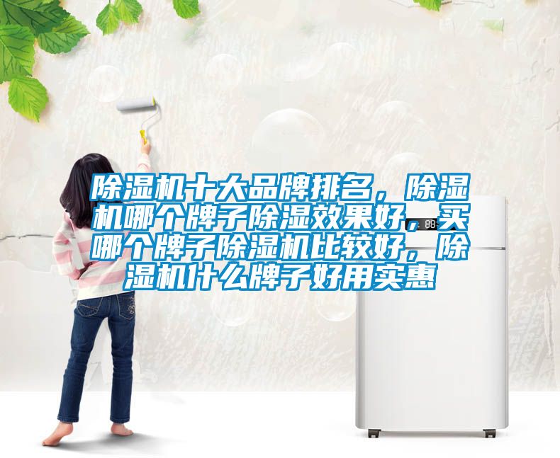 除濕機(jī)十大品牌排名，除濕機(jī)哪個(gè)牌子除濕效果好，買哪個(gè)牌子除濕機(jī)比較好，除濕機(jī)什么牌子好用實(shí)惠