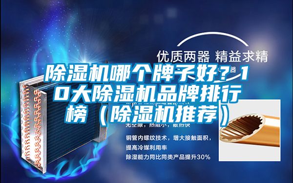 除濕機哪個牌子好？10大除濕機品牌排行榜（除濕機推薦）