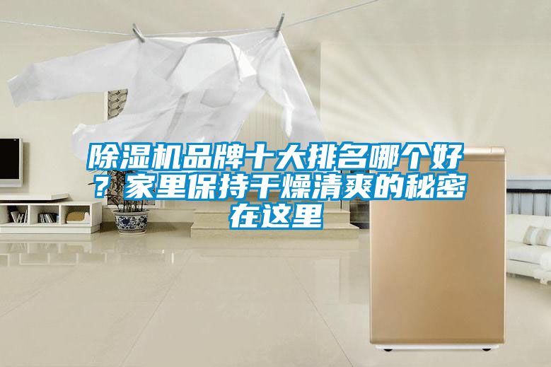 除濕機品牌十大排名哪個好？家里保持干燥清爽的秘密在這里