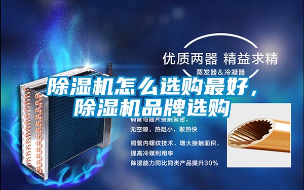除濕機(jī)怎么選購最好，除濕機(jī)品牌選購