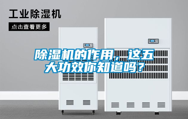 除濕機(jī)的作用，這五大功效你知道嗎？