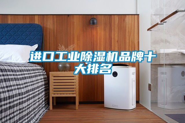 進(jìn)口工業(yè)除濕機(jī)品牌十大排名