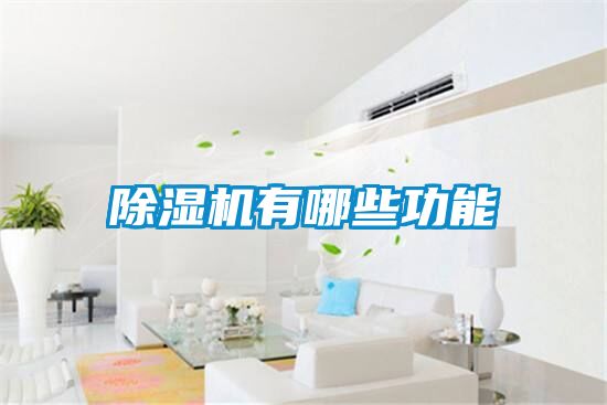 除濕機(jī)有哪些功能