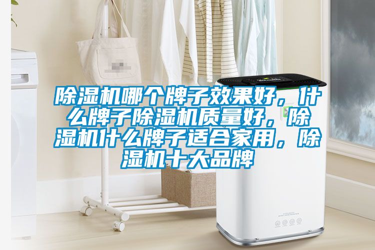 除濕機(jī)哪個(gè)牌子效果好，什么牌子除濕機(jī)質(zhì)量好，除濕機(jī)什么牌子適合家用，除濕機(jī)十大品牌