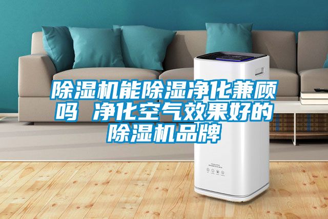 除濕機(jī)能除濕凈化兼顧嗎 凈化空氣效果好的除濕機(jī)品牌