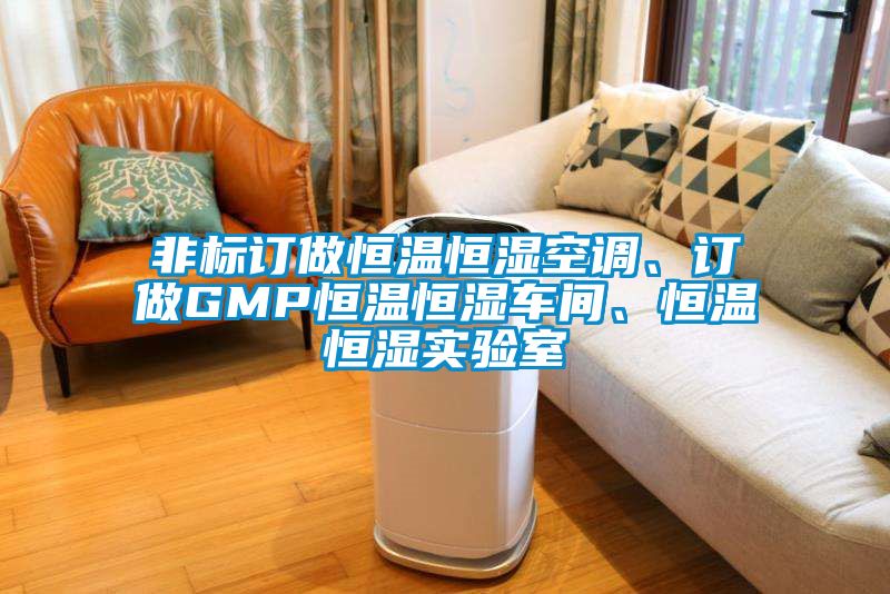 非標訂做恒溫恒濕空調(diào)、訂做GMP恒溫恒濕車間、恒溫恒濕實驗室