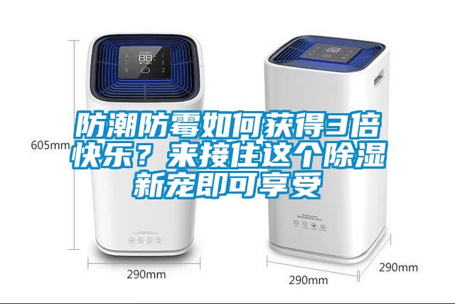 防潮防霉如何獲得3倍快樂(lè)？來(lái)接住這個(gè)除濕新寵即可享受