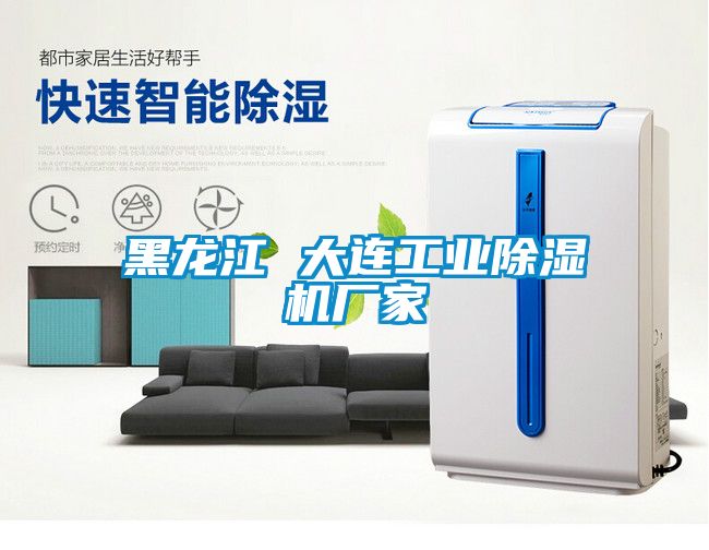 黑龍江 大連工業(yè)除濕機廠家
