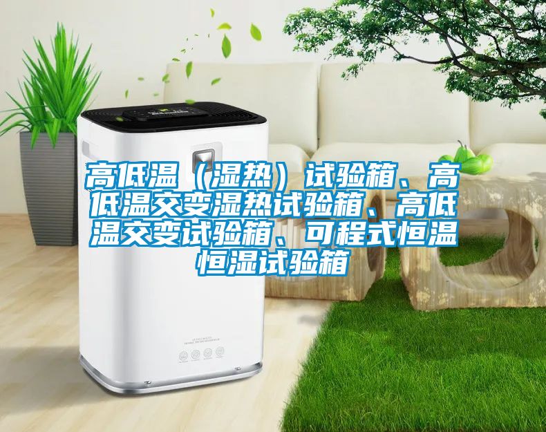 高低溫（濕熱）試驗箱、高低溫交變濕熱試驗箱、高低溫交變試驗箱、可程式恒溫恒濕試驗箱