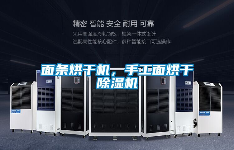 面條烘干機(jī)，手工面烘干除濕機(jī)
