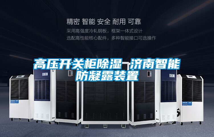 高壓開關(guān)柜除濕 濟南智能防凝露裝置