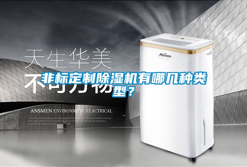 非標(biāo)定制除濕機(jī)有哪幾種類型？
