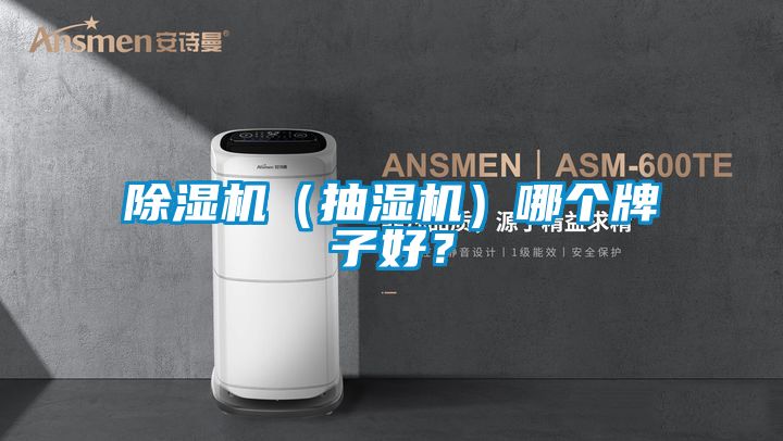 除濕機（抽濕機）哪個牌子好？