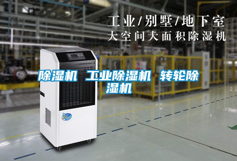 除濕機 工業(yè)除濕機 轉(zhuǎn)輪除濕機