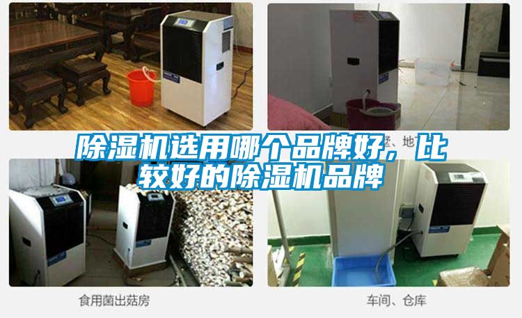 除濕機選用哪個品牌好，比較好的除濕機品牌