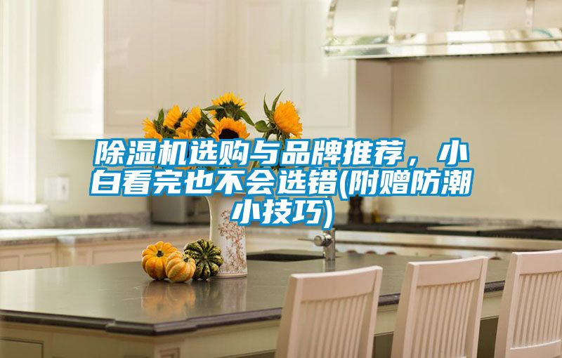除濕機(jī)選購與品牌推薦，小白看完也不會選錯(cuò)(附贈防潮小技巧)