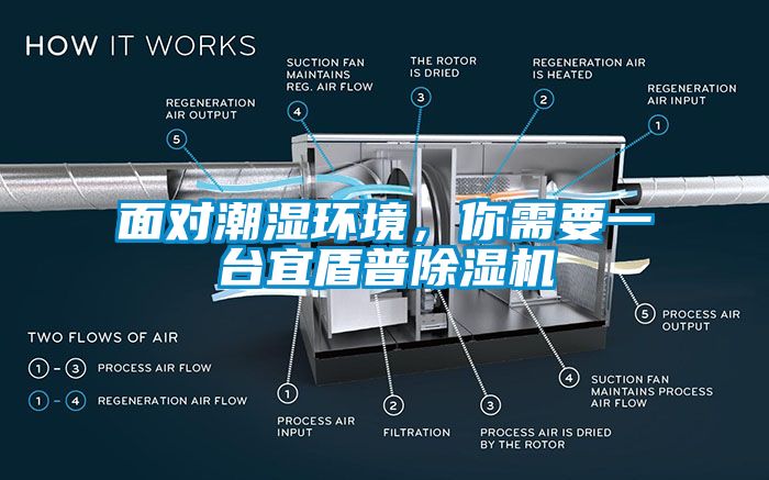 面對潮濕環(huán)境，你需要一臺宜盾普除濕機