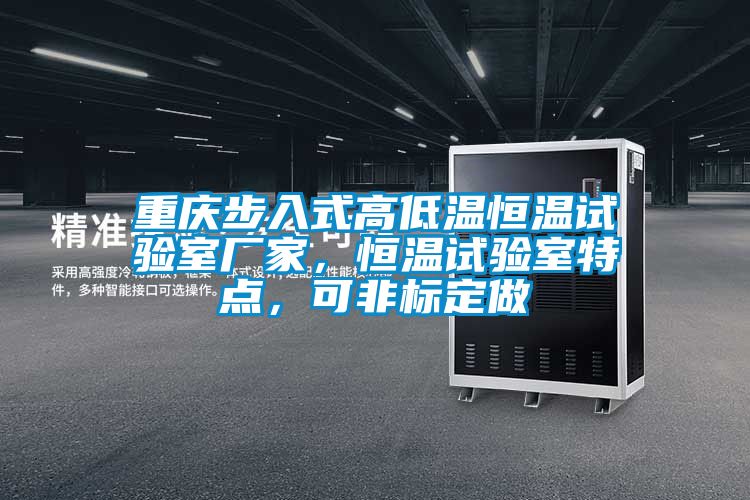 重慶步入式高低溫恒溫試驗(yàn)室廠家，恒溫試驗(yàn)室特點(diǎn)，可非標(biāo)定做