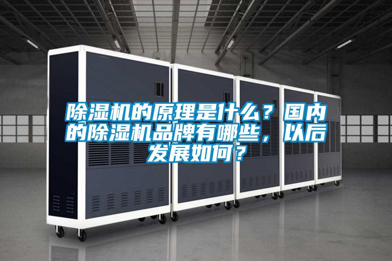 除濕機(jī)的原理是什么？國內(nèi)的除濕機(jī)品牌有哪些，以后發(fā)展如何？