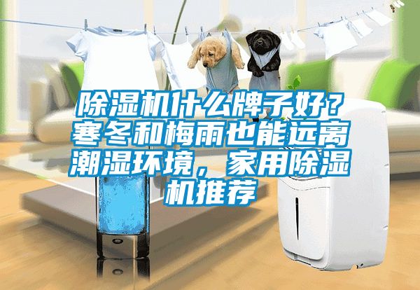 除濕機什么牌子好？寒冬和梅雨也能遠離潮濕環(huán)境，家用除濕機推薦
