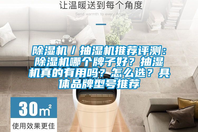 除濕機／抽濕機推薦評測：除濕機哪個牌子好？抽濕機真的有用嗎？怎么選？具體品牌型號推薦