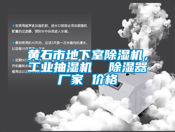 黃石市地下室除濕機，工業(yè)抽濕機  除濕器廠家 價格
