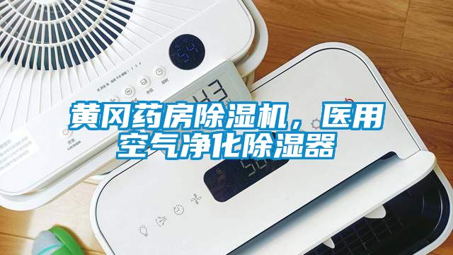 黃岡藥房除濕機，醫(yī)用空氣凈化除濕器