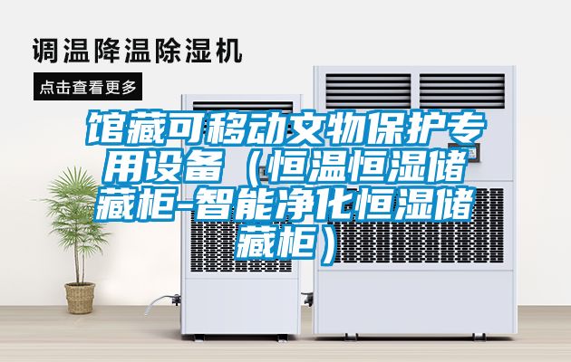 館藏可移動(dòng)文物保護(hù)專(zhuān)用設(shè)備（恒溫恒濕儲(chǔ)藏柜-智能凈化恒濕儲(chǔ)藏柜）