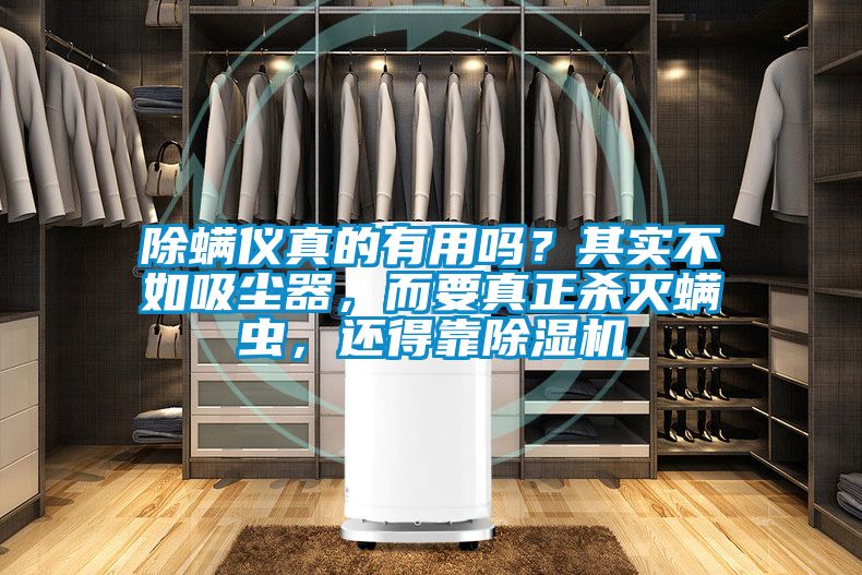 除螨儀真的有用嗎？其實(shí)不如吸塵器，而要真正殺滅螨蟲，還得靠除濕機(jī)