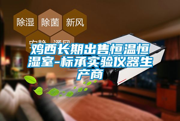 雞西長期出售恒溫恒濕室-標(biāo)承實(shí)驗(yàn)儀器生產(chǎn)商