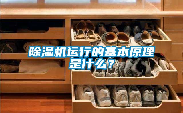 除濕機運行的基本原理是什么？