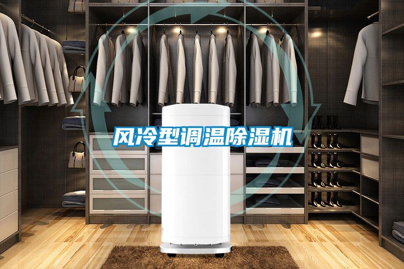 風(fēng)冷型調(diào)溫除濕機(jī)