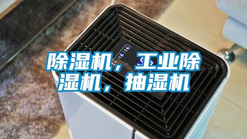 除濕機(jī)，工業(yè)除濕機(jī)，抽濕機(jī)