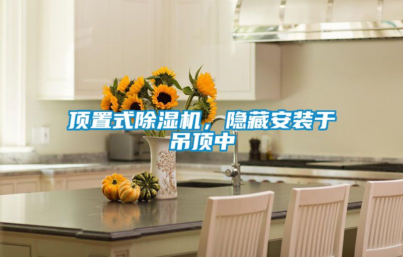 頂置式除濕機(jī)，隱藏安裝于吊頂中