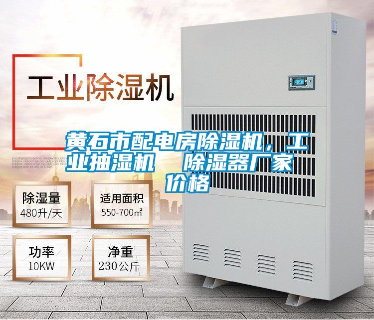 黃石市配電房除濕機，工業(yè)抽濕機  除濕器廠家 價格