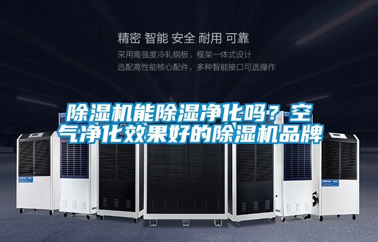 除濕機能除濕凈化嗎？空氣凈化效果好的除濕機品牌