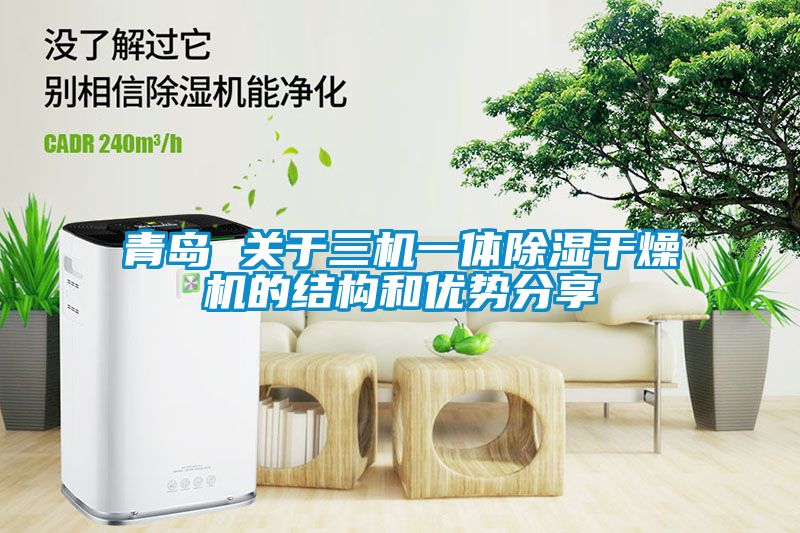 青島 關(guān)于三機(jī)一體除濕干燥機(jī)的結(jié)構(gòu)和優(yōu)勢(shì)分享