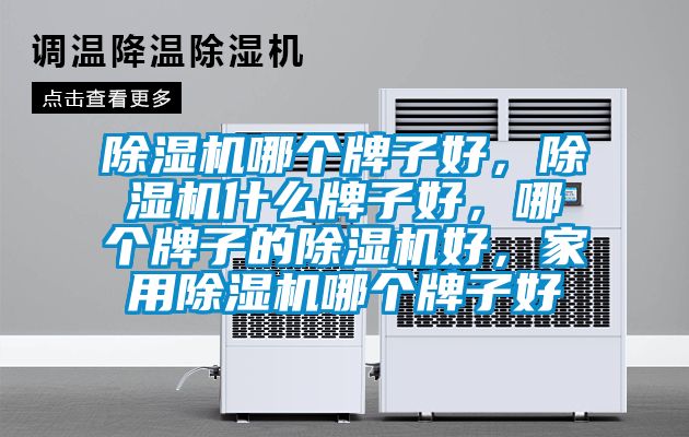 除濕機哪個牌子好，除濕機什么牌子好，哪個牌子的除濕機好，家用除濕機哪個牌子好