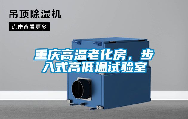 重慶高溫老化房，步入式高低溫試驗(yàn)室