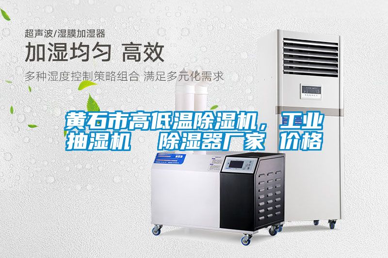 黃石市高低溫除濕機，工業(yè)抽濕機  除濕器廠家 價格