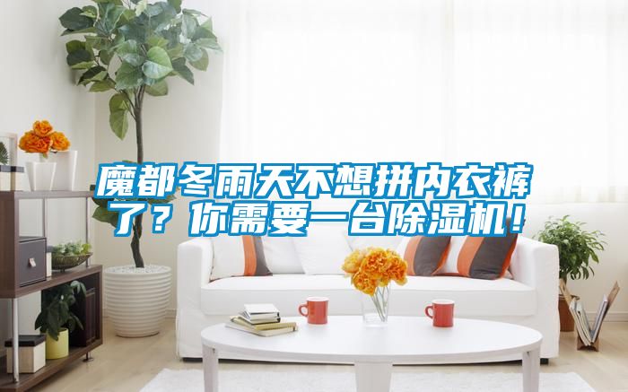 魔都冬雨天不想拼內衣褲了？你需要一臺除濕機！