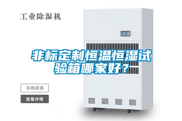 非標(biāo)定制恒溫恒濕試驗箱哪家好？