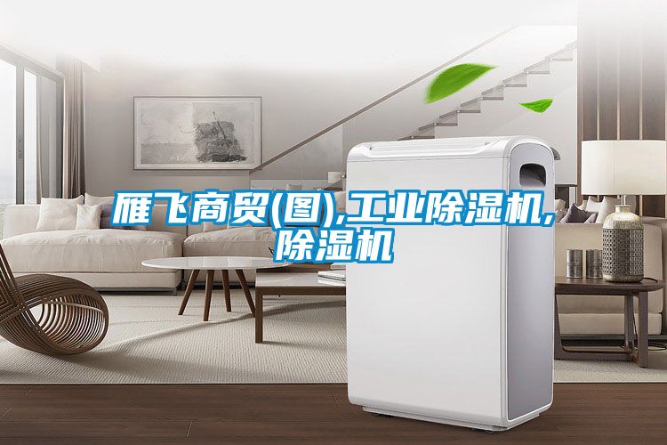 雁飛商貿(mào)(圖),工業(yè)除濕機(jī),除濕機(jī)