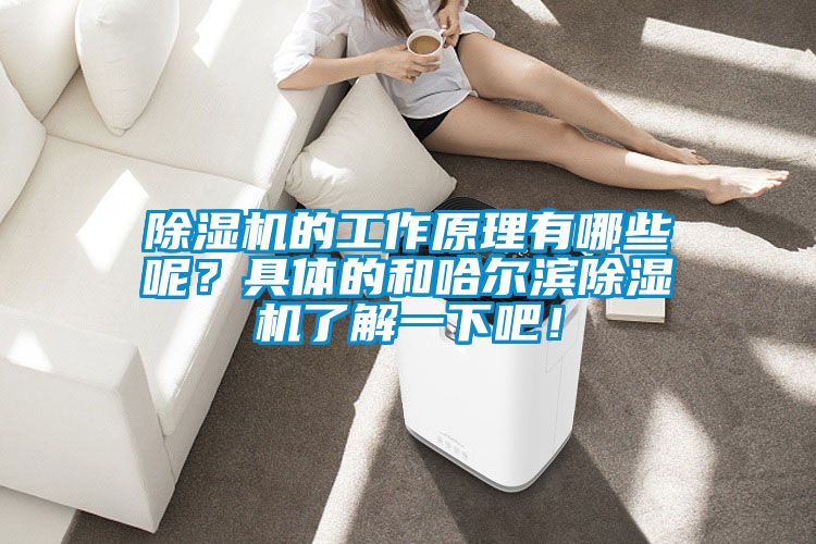 除濕機(jī)的工作原理有哪些呢？具體的和哈爾濱除濕機(jī)了解一下吧！