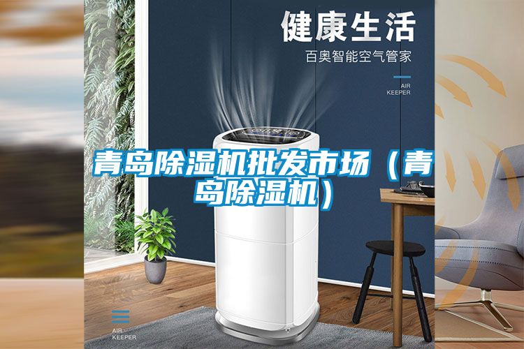 青島除濕機(jī)批發(fā)市場(chǎng)（青島除濕機(jī)）
