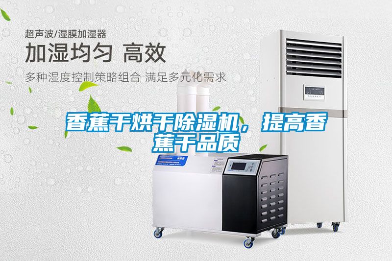 香蕉干烘干除濕機，提高香蕉干品質(zhì)